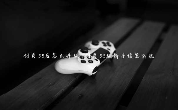 剑灵55后怎么升级 剑灵55级新手该怎么玩