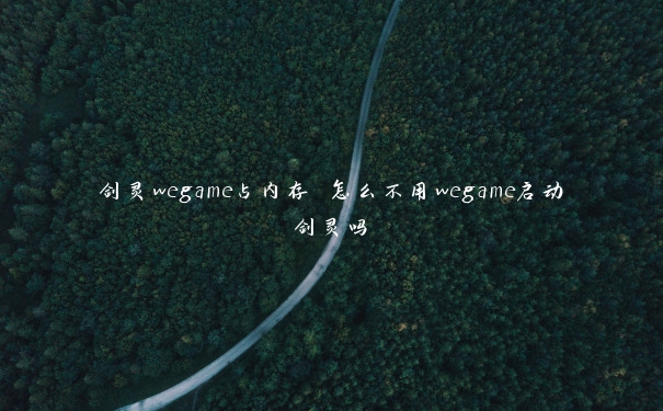 剑灵wegame占内存 怎么不用wegame启动剑灵吗