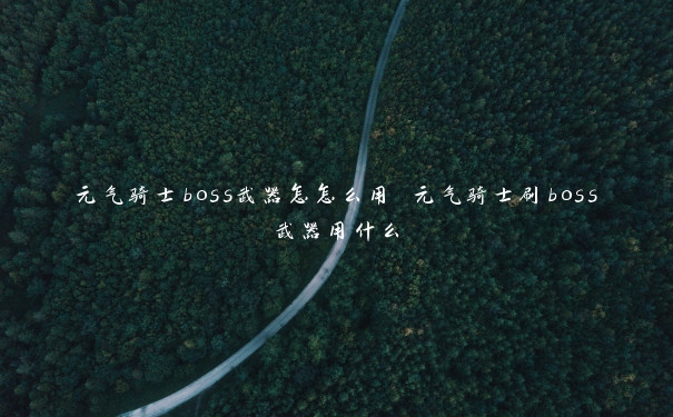 元气骑士boss武器怎怎么用 元气骑士刷boss武器用什么