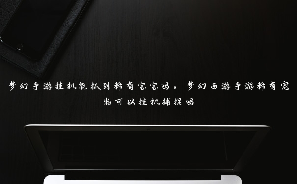 梦幻手游挂机能抓到稀有宝宝吗，梦幻西游手游稀有宠物可以挂机捕捉吗